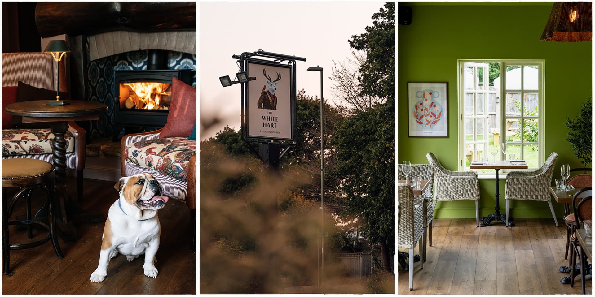 the-white-hart-lymington-whole-venue